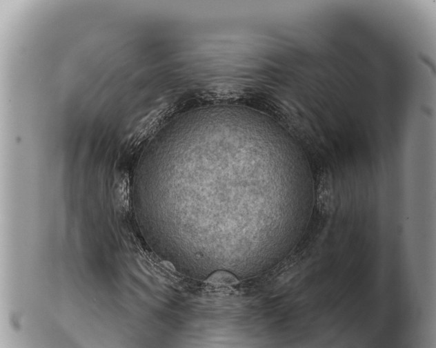 X0000102240866200808011246