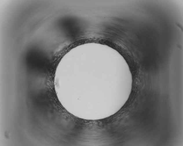 X0000102240869200808011246