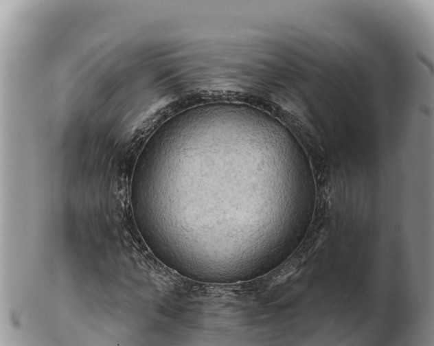 X0000102240870200808011246