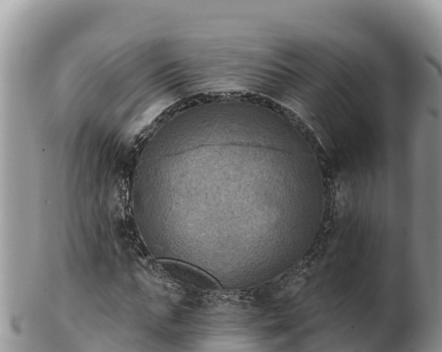 X0000102240871200808011246