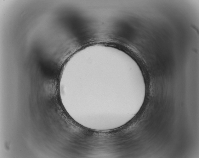 X0000102240873200808011246