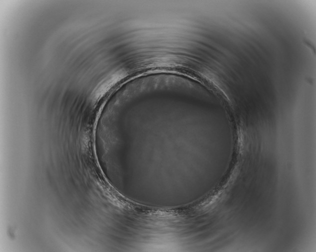 X0000102240874200808011246