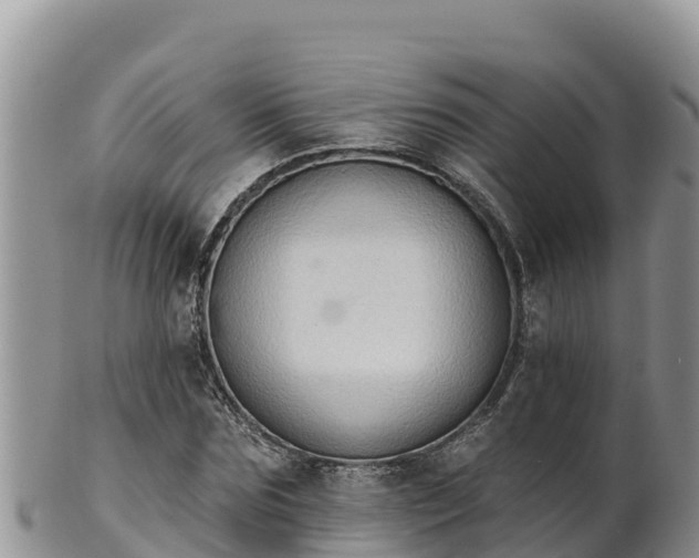 X0000102240875200808011246