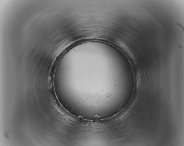 X0000102240876200808011246