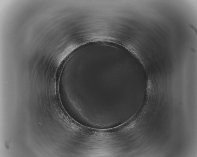 X0000102240877200808011246