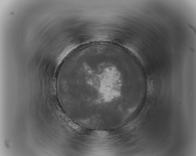 X0000102240878200808011246