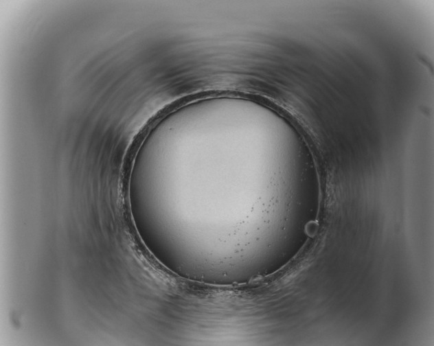 X0000102240880200808011246