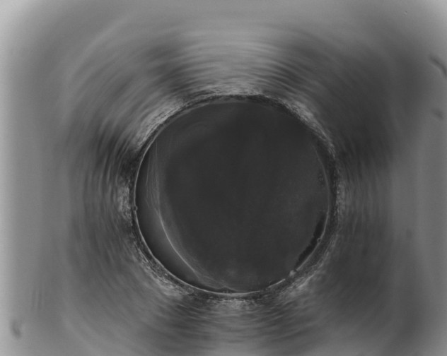 X0000102240881200808011246