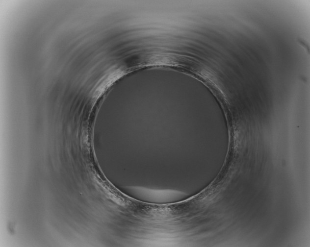 X0000102240882200808011246