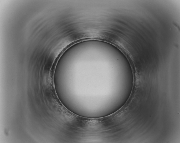 X0000102240883200808011246