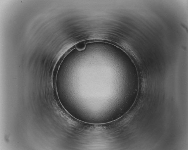 X0000102240884200808011245