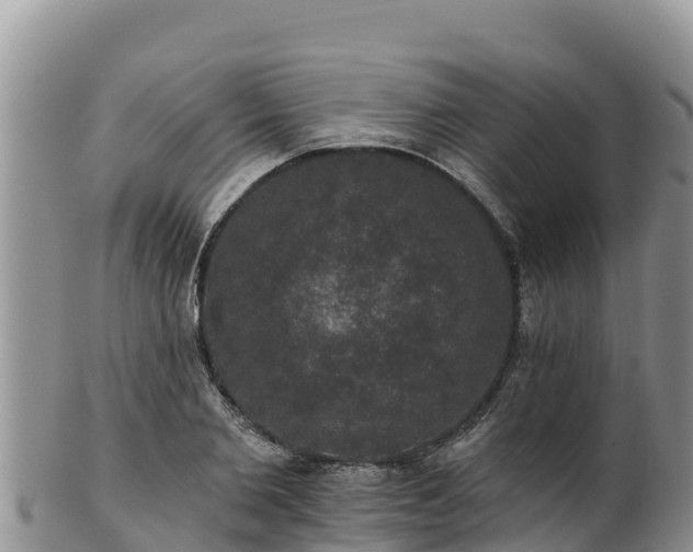 X0000102240885200808011245