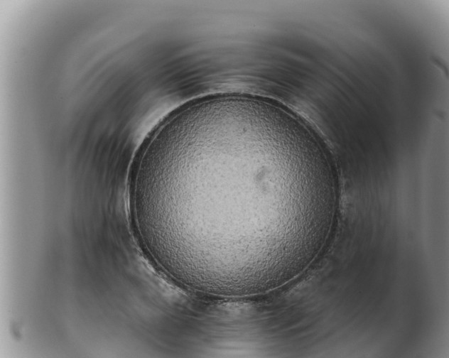 X0000102240888200808011245