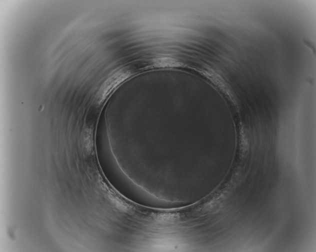 X0000102240889200808011245