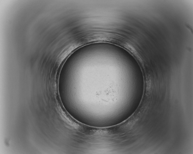 X0000102240890200808011245