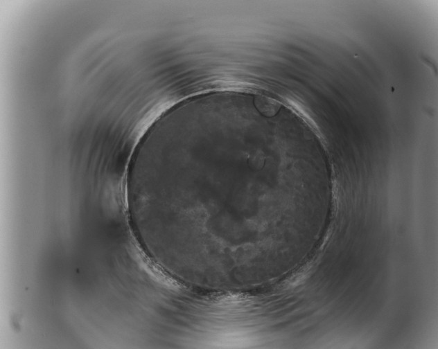 X0000102240891200808011245