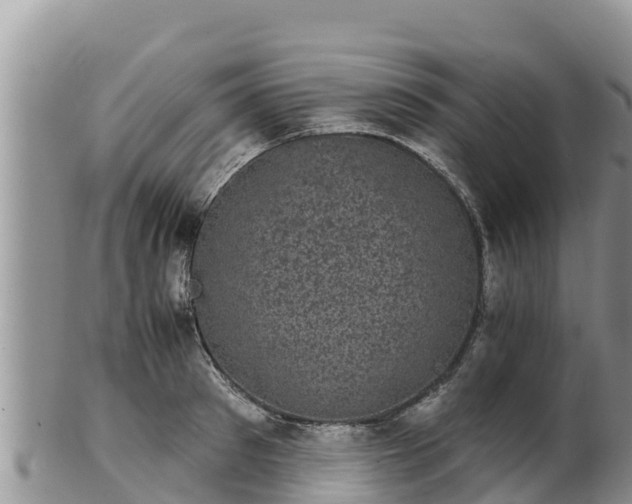 X0000102240897200808011245