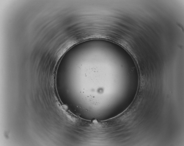 X0000102240898200808011245