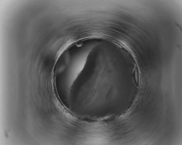 X0000102240899200808011245