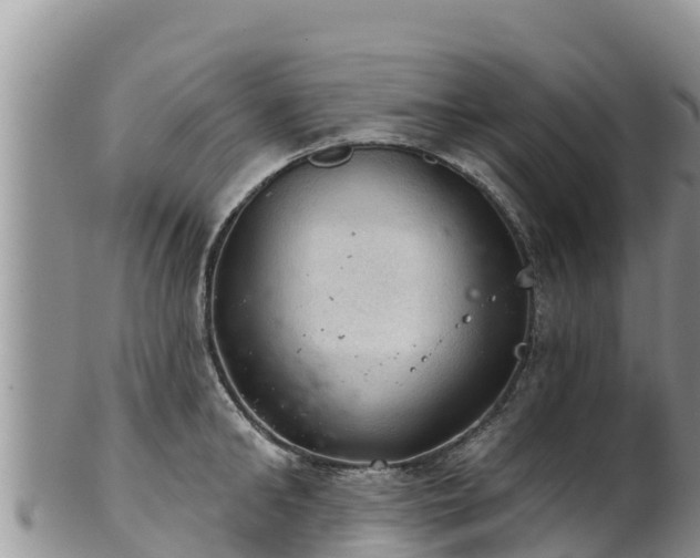 X0000102240902200808011245