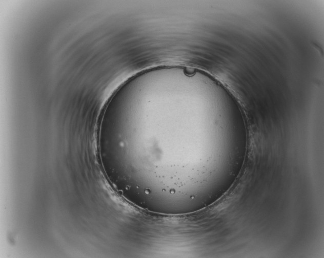 X0000102240904200808011245