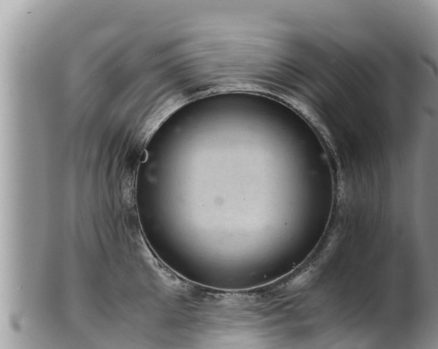 X0000102240905200808011245