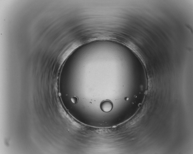 X0000102240906200808011245