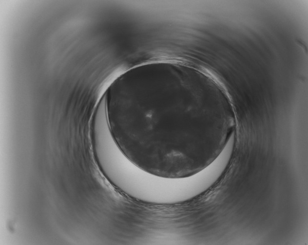 X0000102240907200808011245