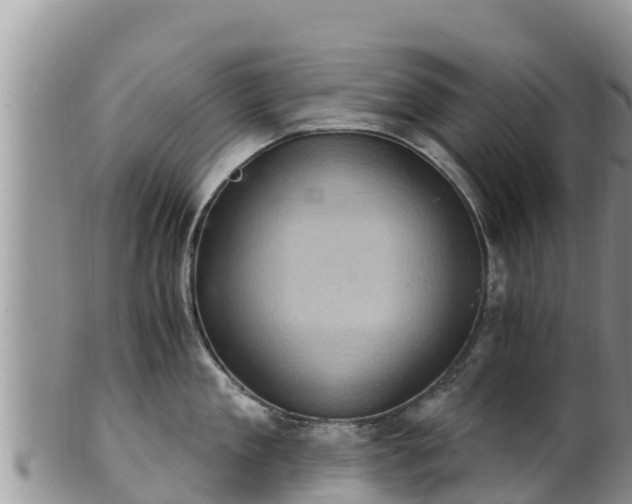 X0000102240909200808011245