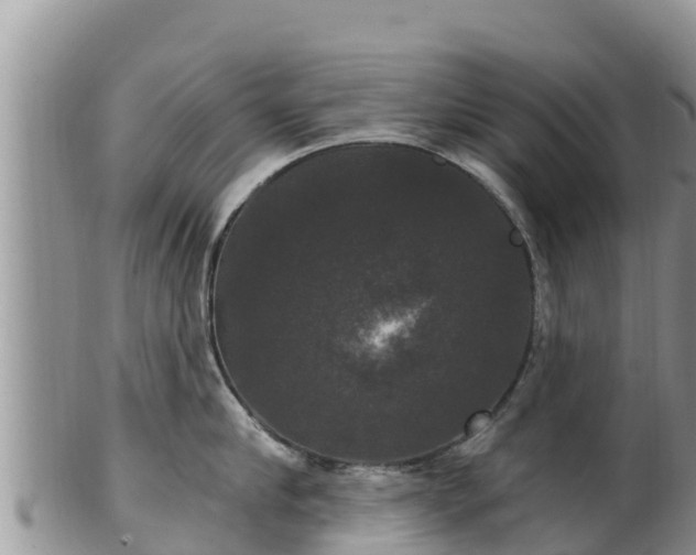 X0000102240910200808011245