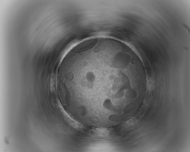 X0000102240911200808011245