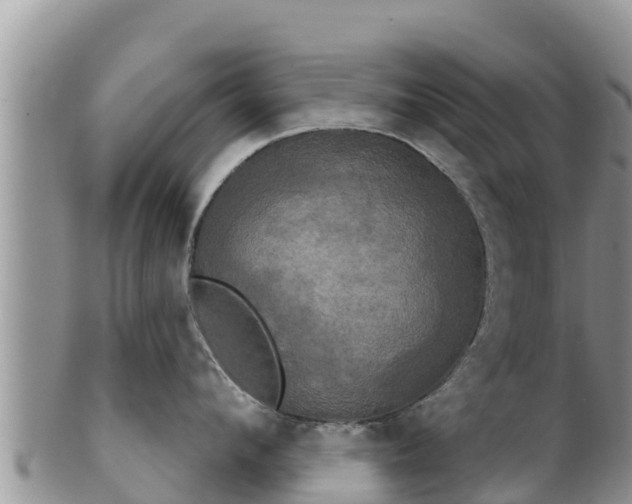 X0000102240912200808011245