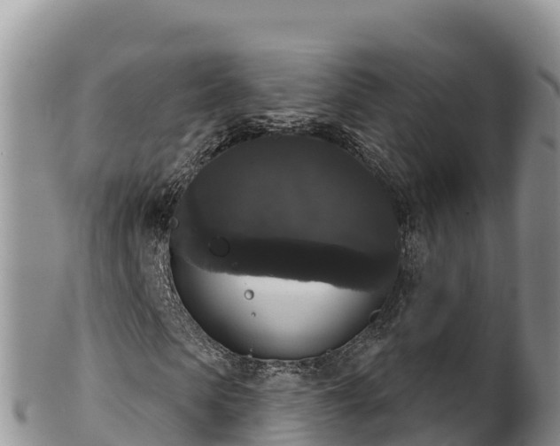 X0000102240913200808011244