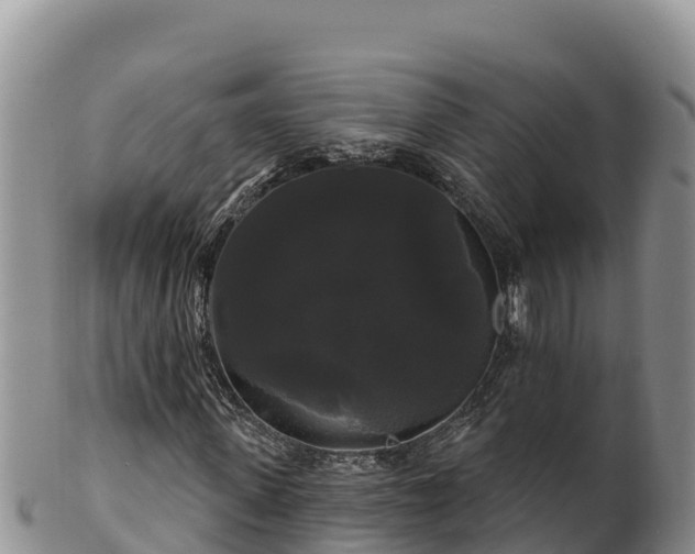 X0000102240915200808011244