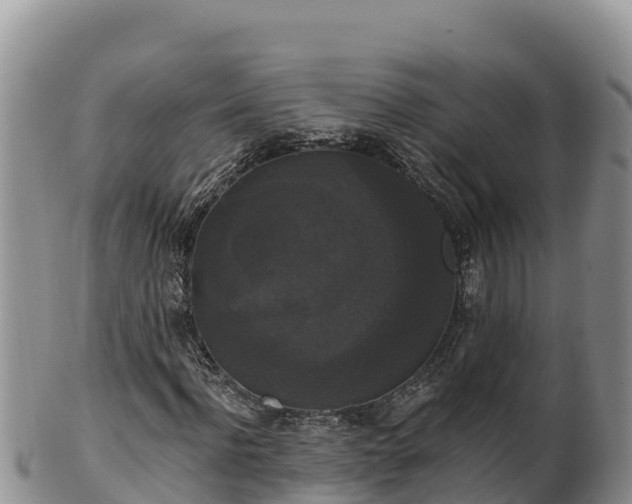 X0000102240916200808011244