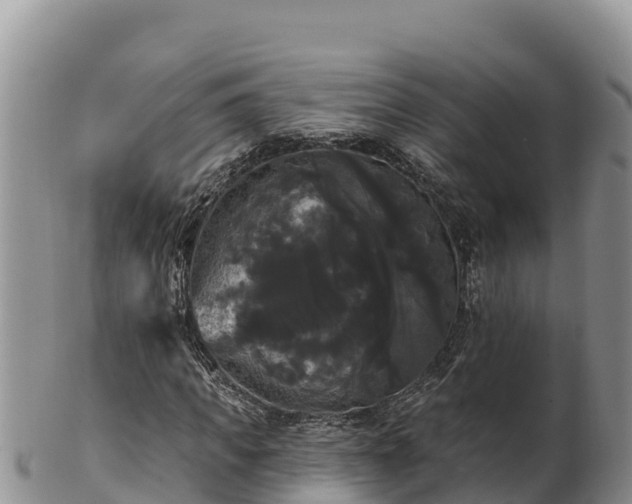 X0000102240917200808011244