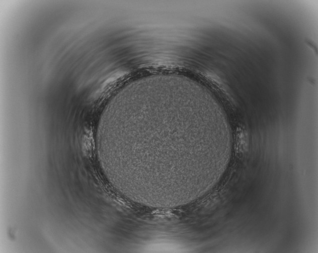 X0000102240918200808011244