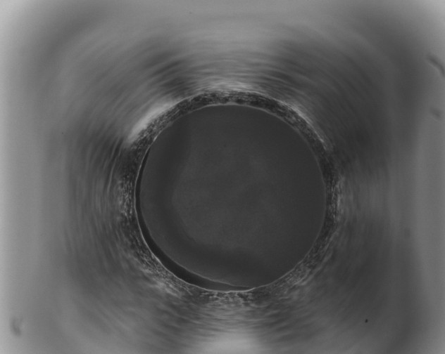 X0000102240919200808011244