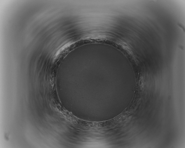 X0000102240920200808011244