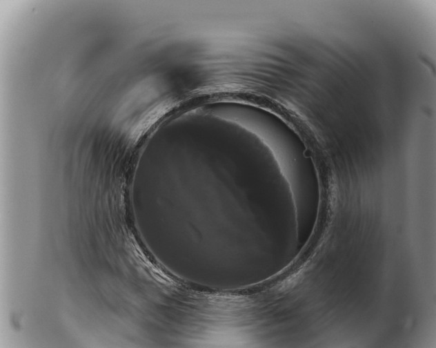 X0000102240921200808011244