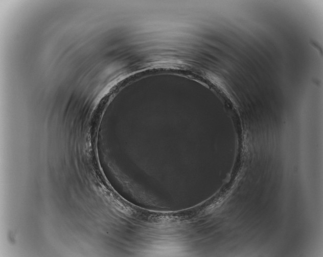 X0000102240923200808011244