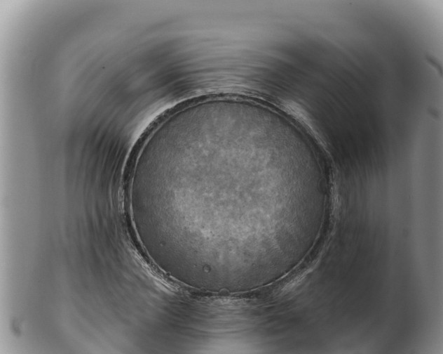 X0000102240924200808011244