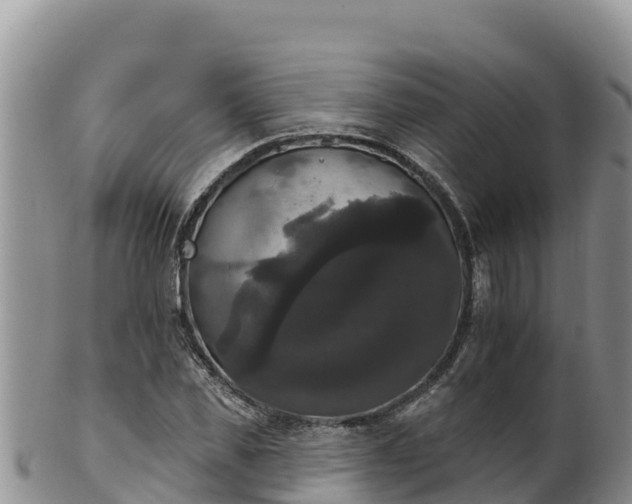 X0000102240925200808011244