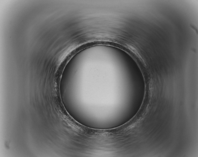 X0000102240926200808011244