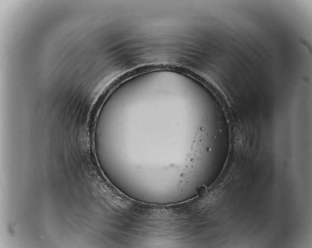 X0000102240927200808011244