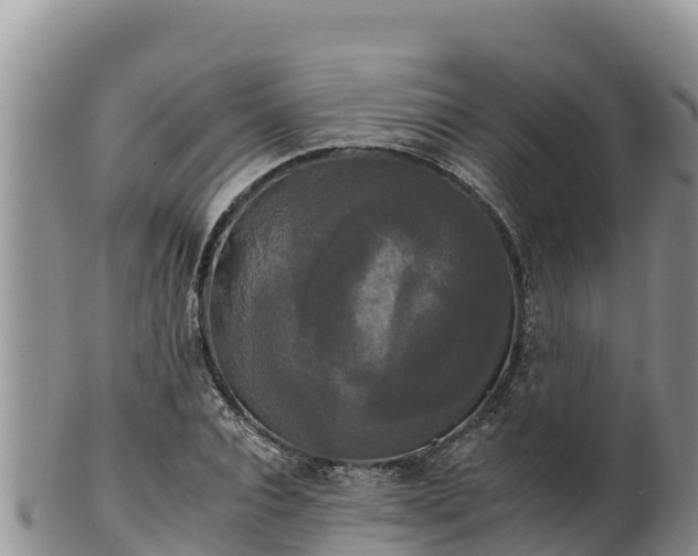 X0000102240928200808011244