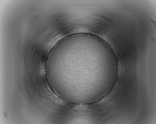 X0000102240929200808011244