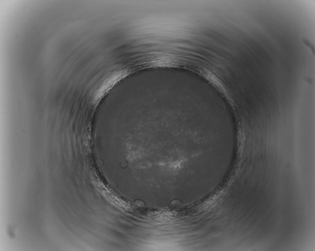 X0000102240930200808011244