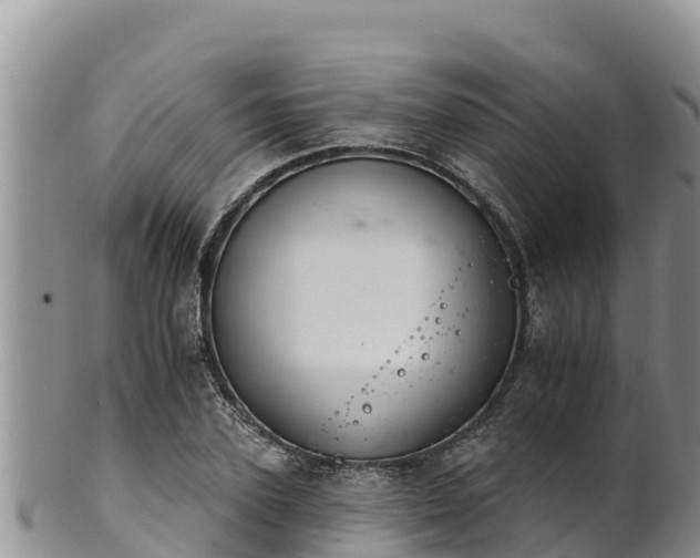 X0000102240931200808011244