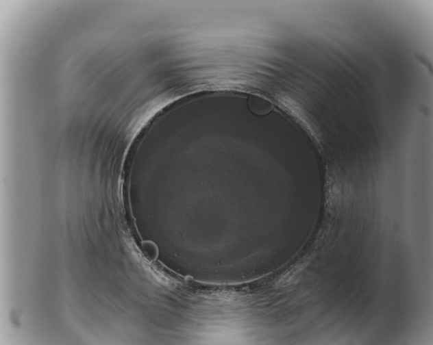 X0000102240932200808011244